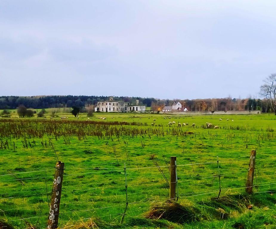 Galway Glamping Hotel Tuam Exterior photo