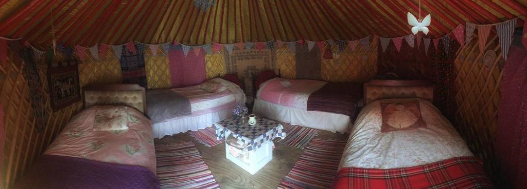 Galway Glamping Hotel Tuam Exterior photo